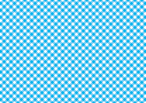 격자 무늬 배경 벡터 일러스트 자료 컬렉션 - blue gingham stock illustrations