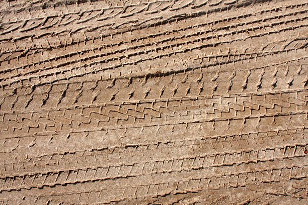 istock Tire Tracks in the Sand 123684112