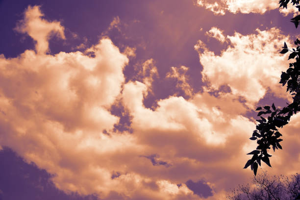 Beautiful white and yellow clouds in the evening sky.