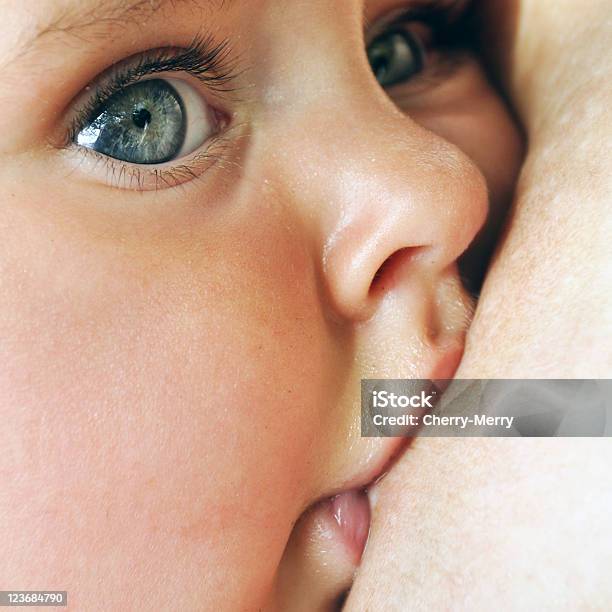 Close Up Of Baby Breastfeeding Stock Photo - Download Image Now - Baby - Human Age, Breastfeeding, Looking