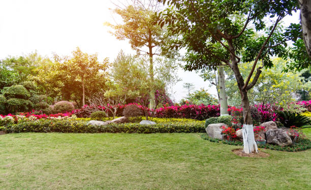 istock Lawn and bush in the garden 1236848075