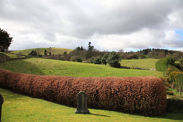 istock Grassland of Lake District 123685920