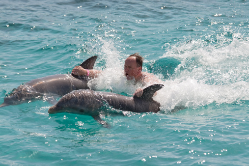 swimming with two dolphins - for more of Curacao   click here 