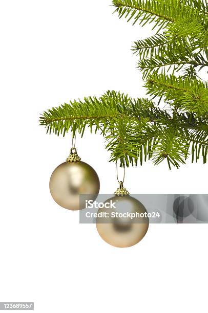 Zwei Goldene Dekoration Kugeln In Christmas Tree Branch Stockfoto und mehr Bilder von Ast - Pflanzenbestandteil