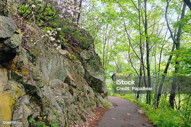 Góra Ścieżka - zdjęcia stockowe i więcej obrazów Głaz - Głaz, Park Narodowy Great Smoky Mountains, Ameryka