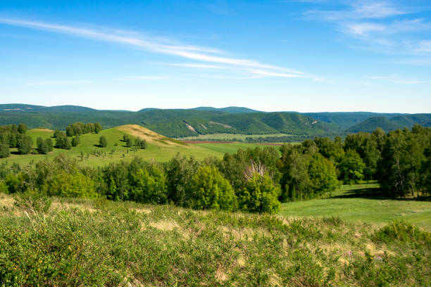 istock Spring mountain landscape overgrown with green forest. Panorama. Ural mountains. 1236924893