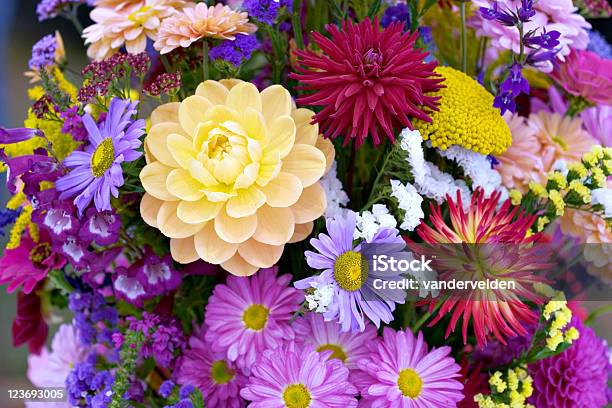 Kwiat Bukiet - zdjęcia stockowe i więcej obrazów Aster - Aster, Bukieciarstwo, Dalia