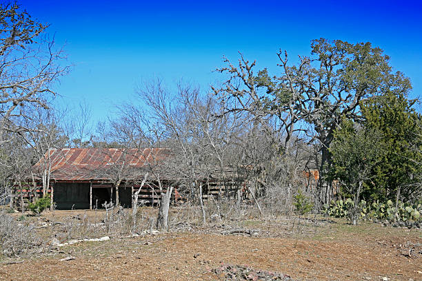 istock Old Barn with donkey in Texas Hill Country 123693160