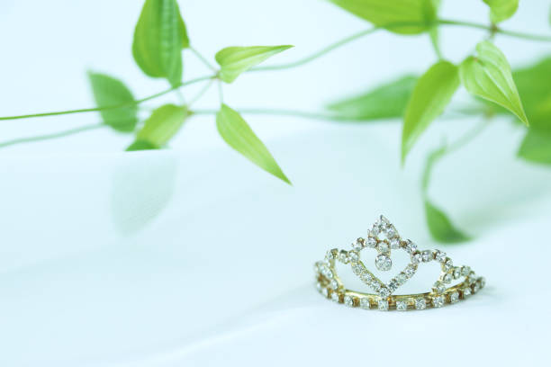 istock stemona japonica tiara 1236959178