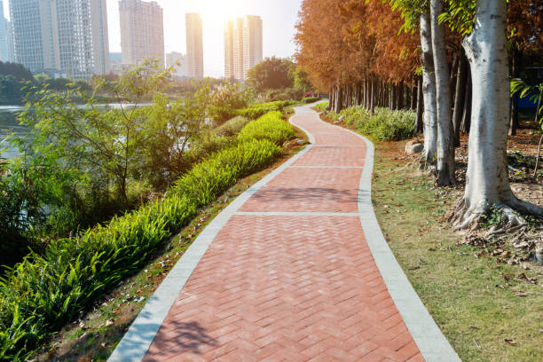 istock Path and bald cypress trees by the lake 1236966928