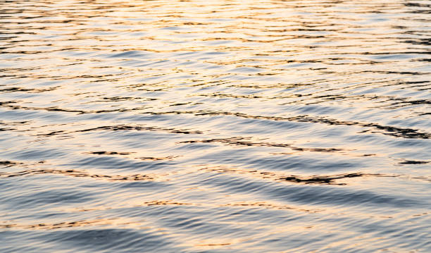 istock Close up of water surface 1236986946