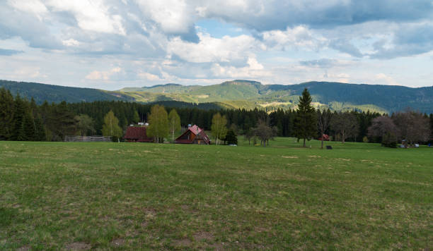 beautiful Moravskoslezske Beskydy mountains near Visalaje in Czech republic beautiful Moravskoslezske Beskydy mountains near Visalaje in Czech republic with mountain meadow, few isolated houses and hills on the background moravian silesian beskids photos stock pictures, royalty-free photos & images