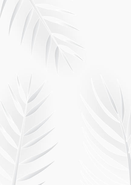 istock Tropical palm leaves in white and gray shades, summer background, simplicity conceptual 1237019112