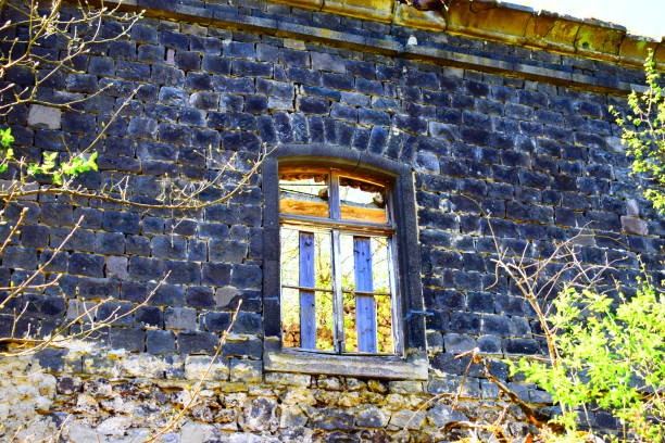 istock old ruin in the forest 1237058269