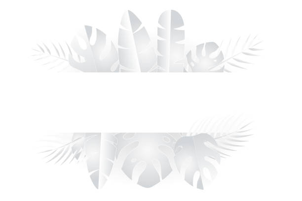 istock Tropical leaves with frame in white and gray shades, summer background, simplicity conceptual 1237075145