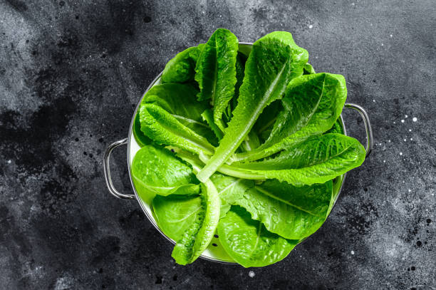 istock Ripe organic green salad Romano in a colander. Black background. Top view 1237110512