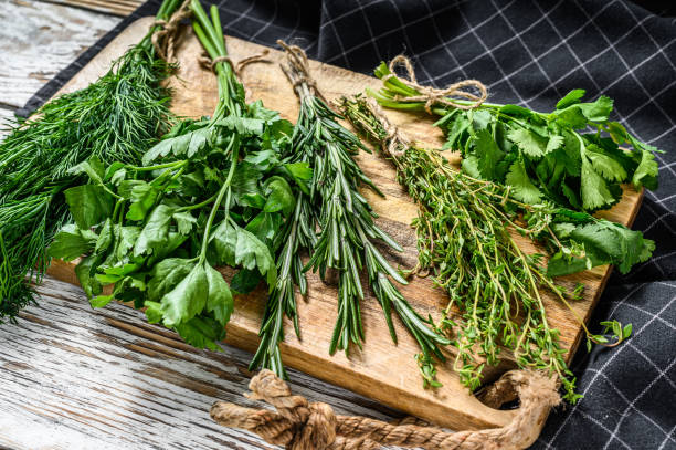 istock Mix of fresh herbs coriander, rosemary, thyme, dill, parsley. White background. Top view. Copy space 1237130993