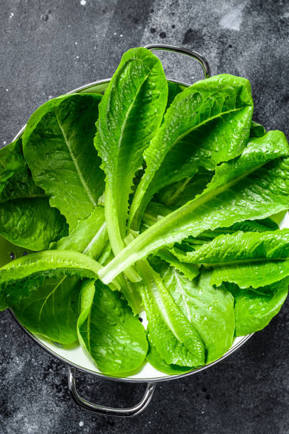 istock Ripe organic green salad Romano in a colander. Black background. Top view 1237146464