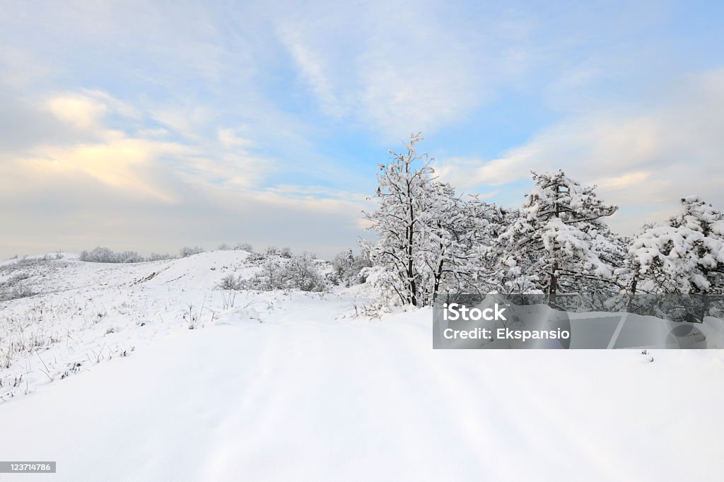 Colina de Inverno Paisagem de neve com céu promissora - Royalty-free A nevar Foto de stock