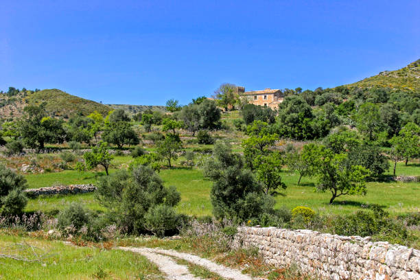 istock Majorca, Country near at Arta 1237155363