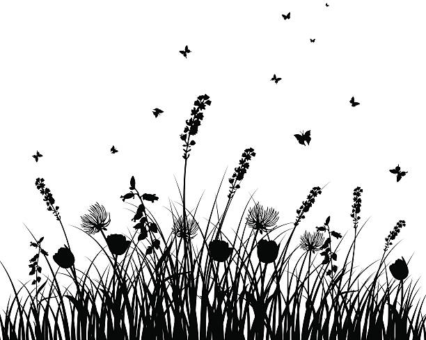 meadow silhouette Vector grass silhouettes background. All objects are separated. grass vector meadow spring stock illustrations