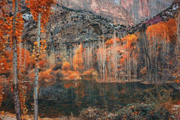 istock The color of autumn with  trees and lake 1237219509