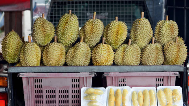 istock Thai durians for sale on pick-up in Bangkok 1237227344