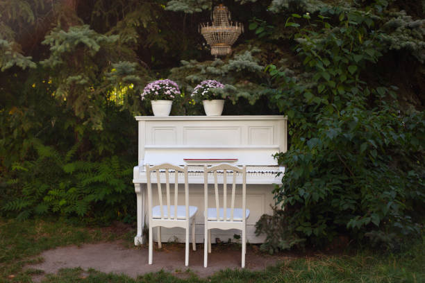 White piano and chairs with romantic decor in summer in garden. Decor for a wedding or a romantic dinner. Grand piano decorated with flowers stands in outdoors. Garden decoration.  rustic. celebration