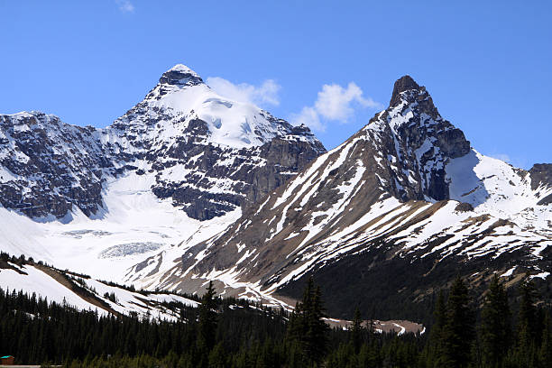 Mount Athabasca. Rocky Mountains. Canada Mount Athabasca and Saskatchewan Glacier between Jasper and Banff National Parks, Alberta, Canada. saskatchewan glacier stock pictures, royalty-free photos & images