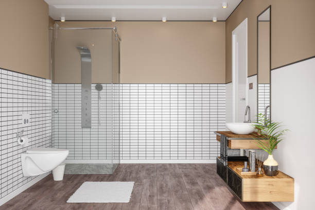Toilet Bowl in Modern Bathroom