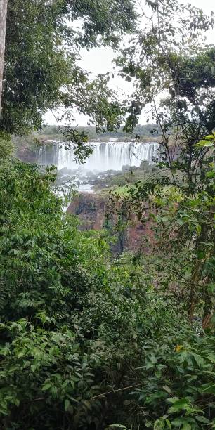 istock Iguazu Waterfalls from Brazil 1237256713