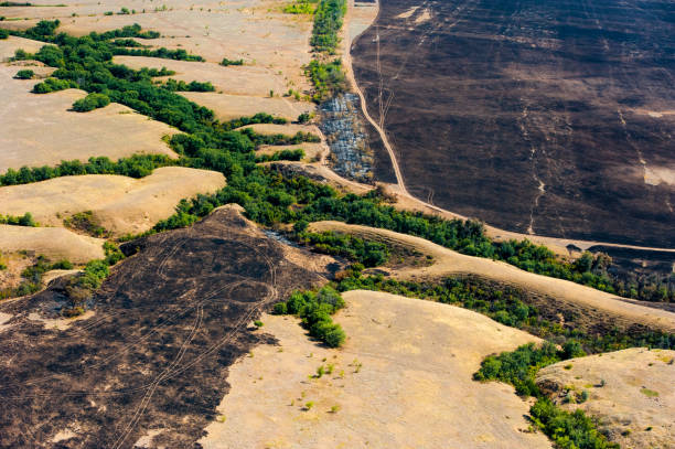 scorched trees and grass after the fire. aerial view - 11275 imagens e fotografias de stock