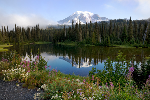 Mt. Rainier viewed from Reflection Lake, Mt. Rainier National Park, Washington State, USA.