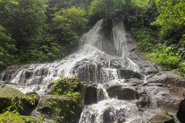 istock Scenic cascade Goa Giri Campuhan waterfall in tropical jungle in 1237303922