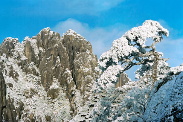 снежный шторм очистки - huangshan mountains стоковые фото и изображения