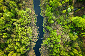 Top view of river and green forest, Poland