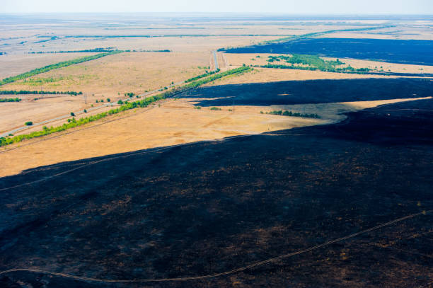 火事の後の焦げ木や草。空中写真 - 11270 ストックフォトと画像