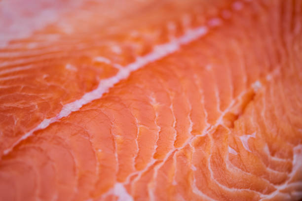 istock Close up macro of biological raw fresh salmon meat 1237312704