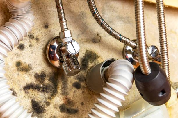 Defective water valve at the kitchen sink. Leaking water. Wet and moldy wall. Plumbing work.