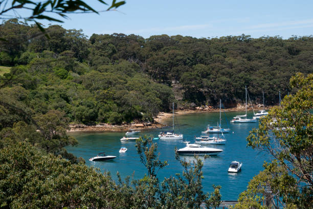 istock Boat's moored in Athol Bay on Sydney Harbour surrounded by bush land 1237323167