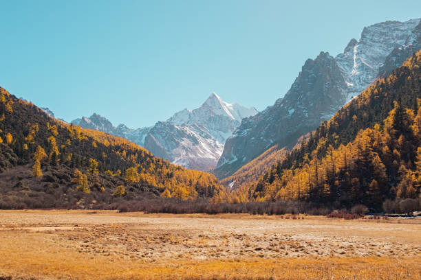 the sacred mount chanadorje (xia nuo duo ji) at ya ding nature reserve located at dao cheng county - dao cheng imagens e fotografias de stock