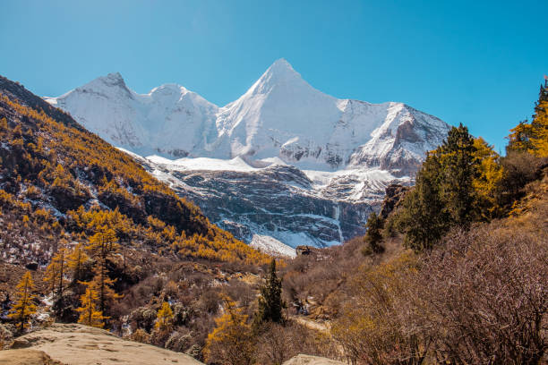 luo rong pasture below the sacred mount jambeyang (yang mai yong) at ya ding nature reserve located at dao cheng county - dao cheng imagens e fotografias de stock