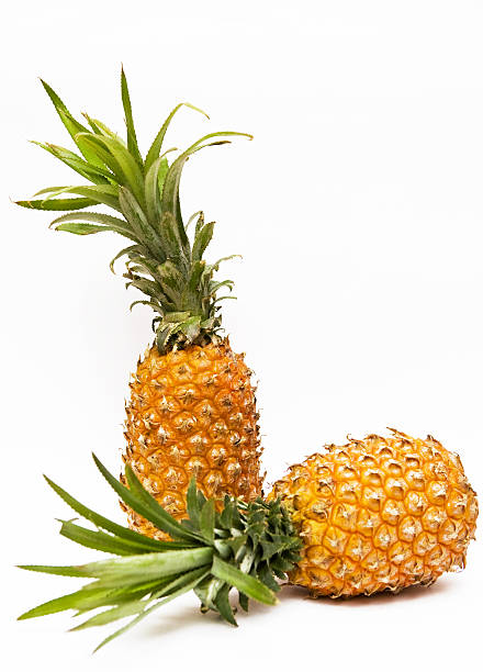 Two pineapples stock photo
