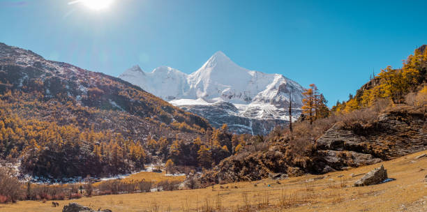 panorama view of luo rong pasture below the sacred mount jambeyang (yang mai yong) at ya ding nature reserve located at dao cheng county - dao cheng imagens e fotografias de stock