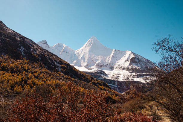 luo rong pasture below the sacred mount jambeyang (yang mai yong) at ya ding nature reserve located at dao cheng county - dao cheng imagens e fotografias de stock