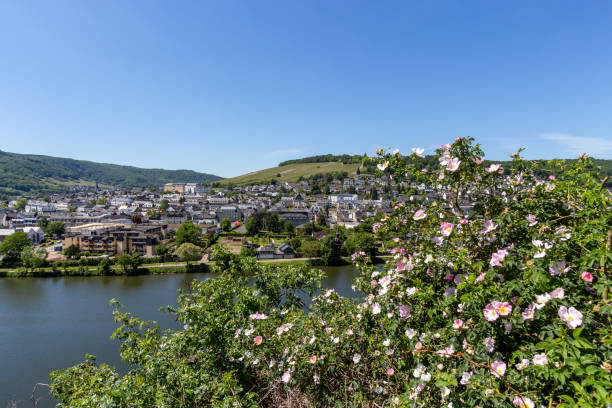 istock Wide angle view at Bernkastel-Kues and the river Moselle valley 1237374776
