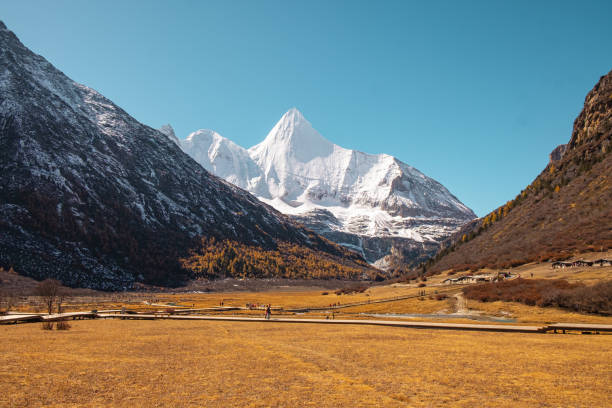 luo rong pasture below the sacred mount jambeyang (yang mai yong) at ya ding nature reserve located at dao cheng county - dao cheng imagens e fotografias de stock