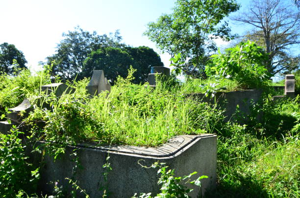 istock Tombstones On Grassy Field In Cemetery Against Sky 1237400012
