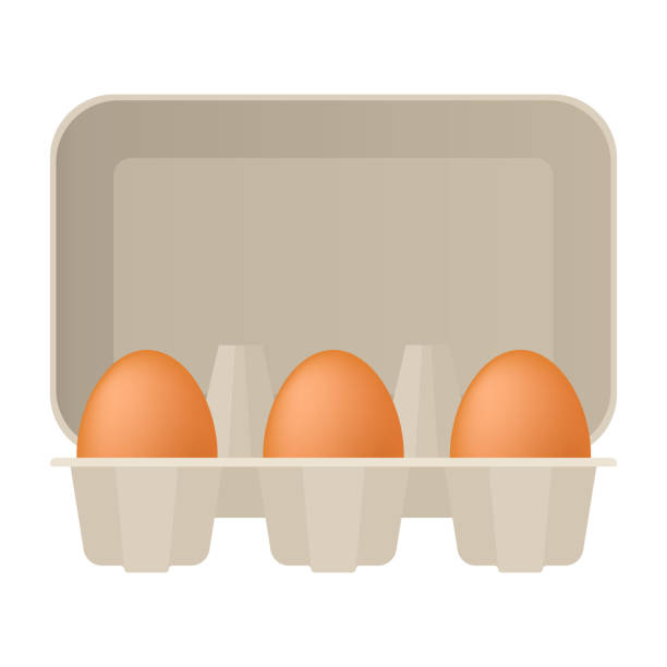Six brown chicken eggs in a cardboard box. Side view. Vector stock flat illustration isolated on a white background Eggs egg carton stock illustrations
