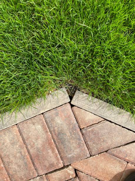 istock Red monoblock paving bricks and edge slab on new house garden 1237450044